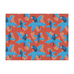 Blue Parrot Tissue Paper Sheets - Large - Heavyweight