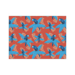 Blue Parrot Tissue Paper Sheets - Medium - Heavyweight