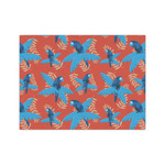 Blue Parrot Medium Tissue Papers Sheets - Lightweight