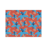 Blue Parrot Tissue Paper Sheets - Medium - Lightweight