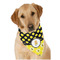 Honeycomb, Bees & Polka Dots Bandana - On Dog