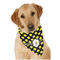 Bee & Polka Dots Dog Bandana Scarf w/ Name or Text
