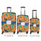 Toucans Luggage Bags all sizes - With Handle
