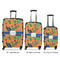 Toucans Suitcase Set 1 - APPROVAL