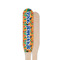 Toucans Wooden Food Pick - Paddle - Single Sided - Front & Back
