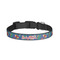 Parrots & Toucans Dog Collar - Small - Front