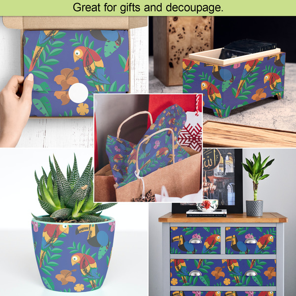 Parrots & Toucans Tissue Paper - In Use Collage