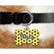 Honeycomb Bone Shaped Dog Tag on Collar & Dog