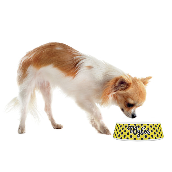 Honeycomb Plastic Pet Bowls - Small - LIFESTYLE