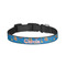Boats & Palm Trees Dog Collar - Small - Front