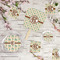 Palm Trees Party Supplies Combination Image - All items - Plates, Coasters, Fans