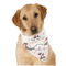 Cats in Love Dog Bandana Scarf w/ Couple's Names