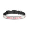Cats in Love Dog Collar - Small - Front