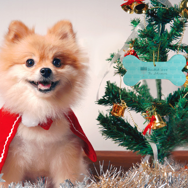 Hanukkah Ceramic Flat Ornament - Bone (LIFESTYLE)