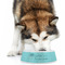 Hanukkah Plastic Pet Bowls - Large - LIFESTYLE