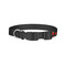 Chili Peppers Dog Collar - Small - Back