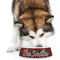 Chili Peppers Plastic Pet Bowls - Large - LIFESTYLE