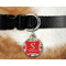 Colored Peppers Round Pet Tag on Collar & Dog