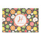 Apples & Oranges Large Rectangle Car Magnets- Front/Main/Approval