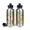 Dragons Aluminum Water Bottle - Front and Back
