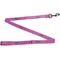 Sparkle & Dots Dog Leash Full View