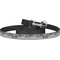 Graffiti Dog Leash (Personalized)