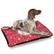 Atomic Orbit Outdoor Dog Beds - Large - IN CONTEXT