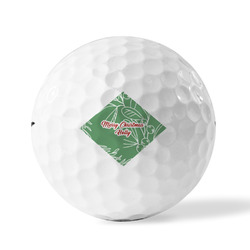 Christmas Holly Personalized Golf Ball - Titleist Pro V1 - Set of 3 (Personalized)