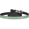 Christmas Holly Dog Leash (Personalized)