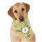 Safari Dog Bandana Scarf w/ Name or Text