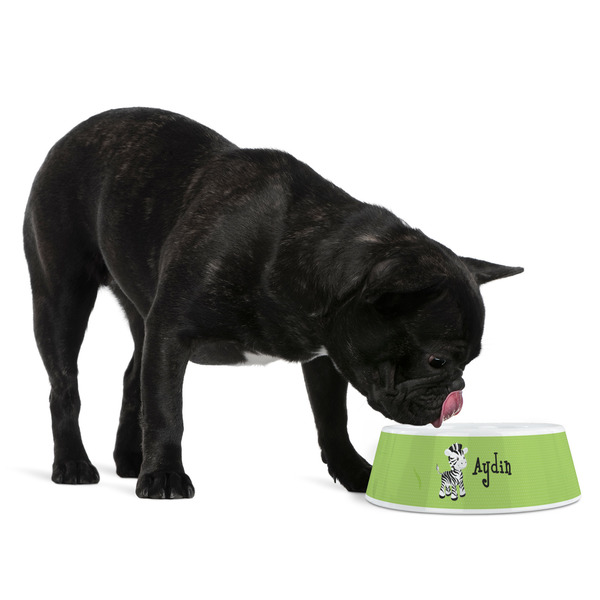 Safari Plastic Pet Bowls - Medium - LIFESTYLE