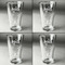 Safari Set of Four Engraved Beer Glasses - Individual View