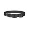 Musical Notes Dog Collar - Small - Back