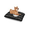 Musical Notes Outdoor Dog Beds - Small - IN CONTEXT