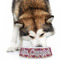 Abstract Music Plastic Pet Bowls - Large - LIFESTYLE