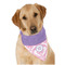 Pink, White & Purple Damask Dog Bandana Scarf w/ Monogram