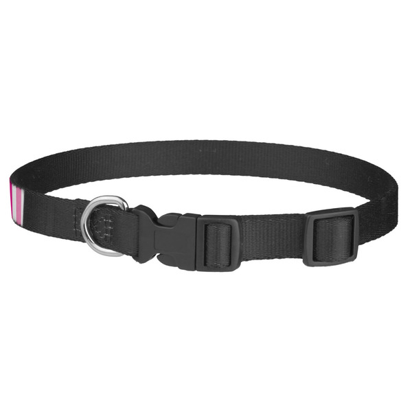 Grosgrain Stripe Dog Collar - Medium - Back