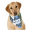 Blue Argyle Dog Bandana Scarf w/ Name or Text
