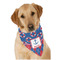 Buoy & Argyle Print Dog Bandana Scarf w/ Name or Text