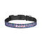 Buoy & Argyle Print Dog Collar - Large (Personalized)