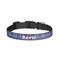 Buoy & Argyle Print Dog Collar - Small (Personalized)