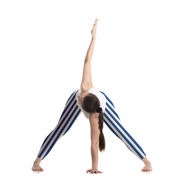 Stripes Ladies Leggings - LIFESTYLE