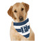 Horizontal Stripe Dog Bandana Scarf w/ Initial