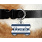 Horizontal Stripe Bone Shaped Dog Tag on Collar & Dog