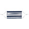 Horizontal Stripe Mask - Pleated (new) APPROVAL