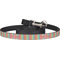 Retro Vertical Stripes Dog Leash (Personalized)