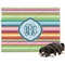 Retro Horizontal Stripes Dog Blanket (Personalized)