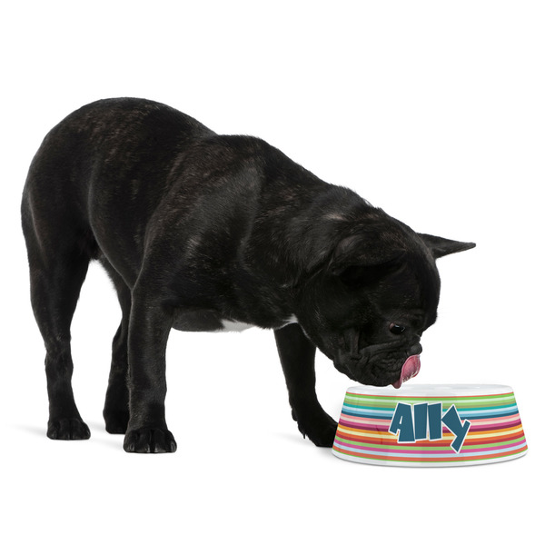 Retro Horizontal Stripes Plastic Pet Bowls - Medium - LIFESTYLE