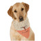 Retro Baseball Dog Bandana Scarf w/ Name or Text