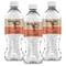 Retro Baseball Water Bottle Labels - Front View